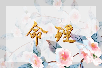 卦占卜免费测算 推八字算命 十神排盘 八字算感情 辉命理测算
